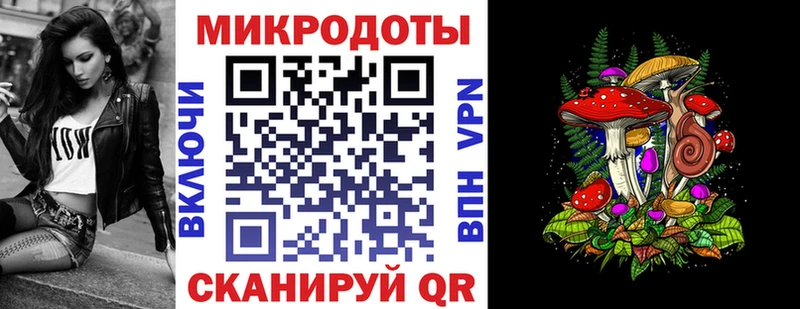Псилоцибиновые грибы Psilocybine cubensis  Губкин 