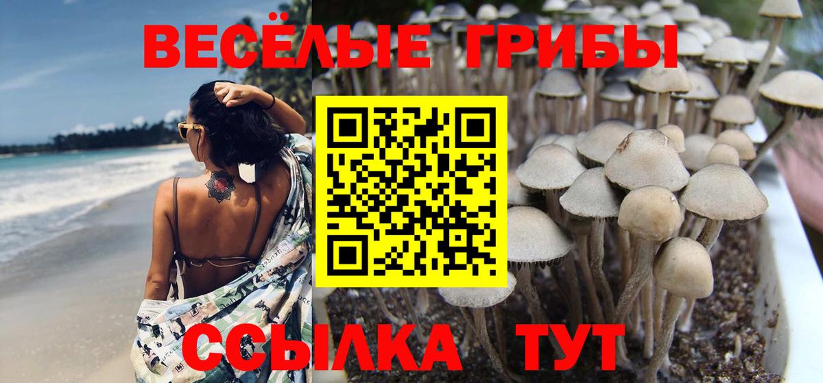 Галлюциногенные грибы прущие грибы Губкин